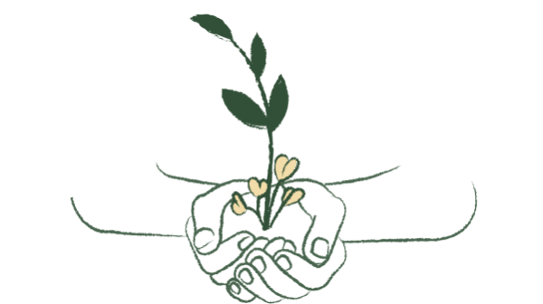 Illustration plante qui pousse dans les mains – Accompagnement confiance et estime de soi à Rennes