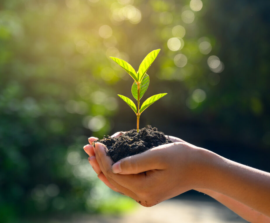 I Stock 1181366400 1 1